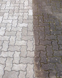 Photo n°2 de Chardela à Bayonne ()