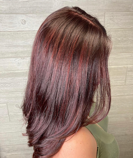 Beauty Salon «Tortoise & the Hair Salon», reviews and photos, 6681 Rochester Rd, Troy, MI 48085, USA