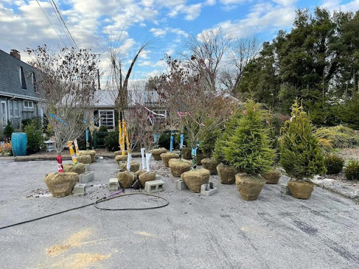 Garden Center «Schott Gardens», reviews and photos, 2209 Nashville Rd, Bowling Green, KY 42101, USA