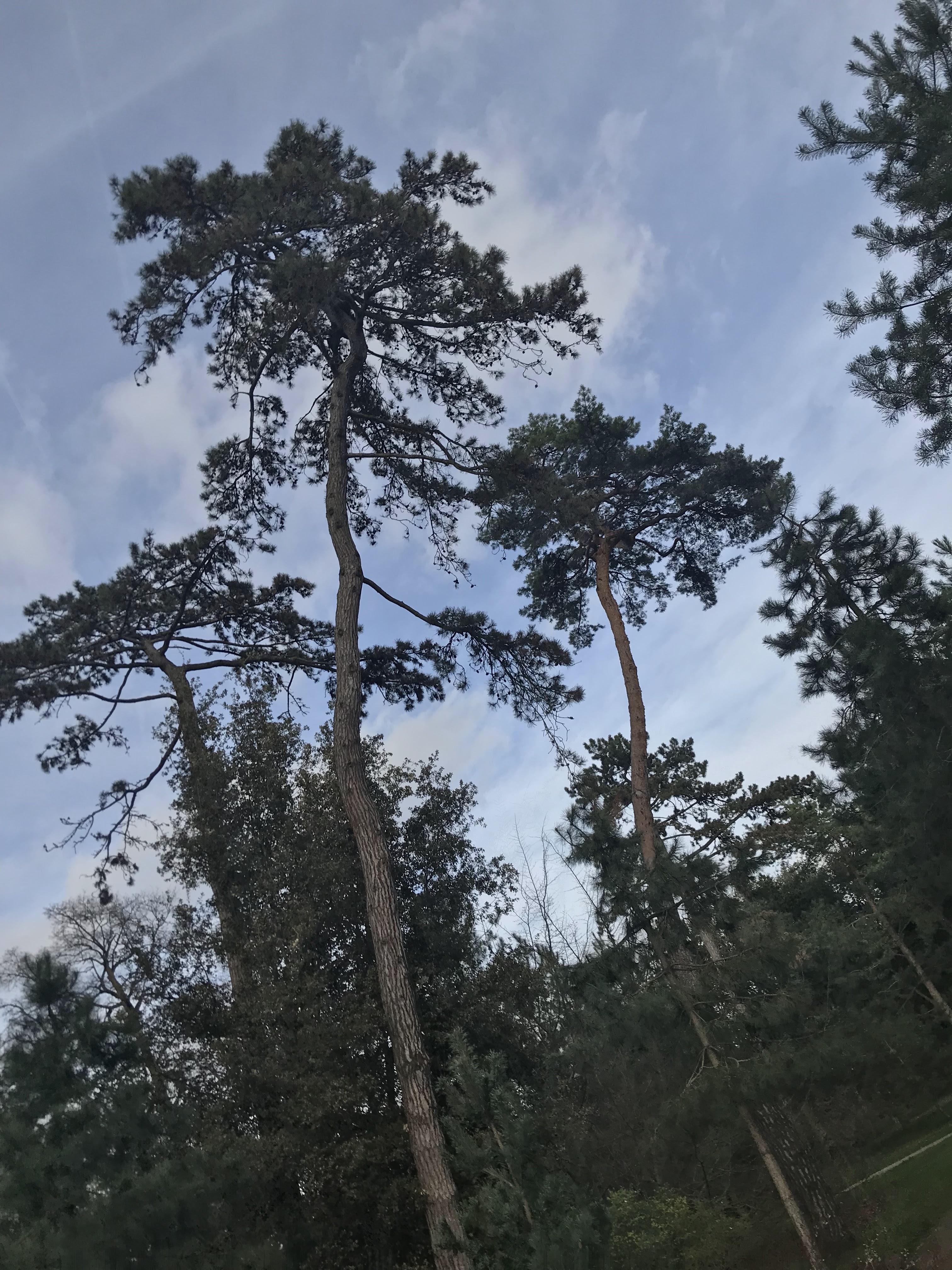 Photo n° 9 de l'avis de mihnea.n fait le 29/03/2019 à 17:57