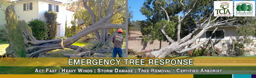 Supreme Tree Experts Anaheim