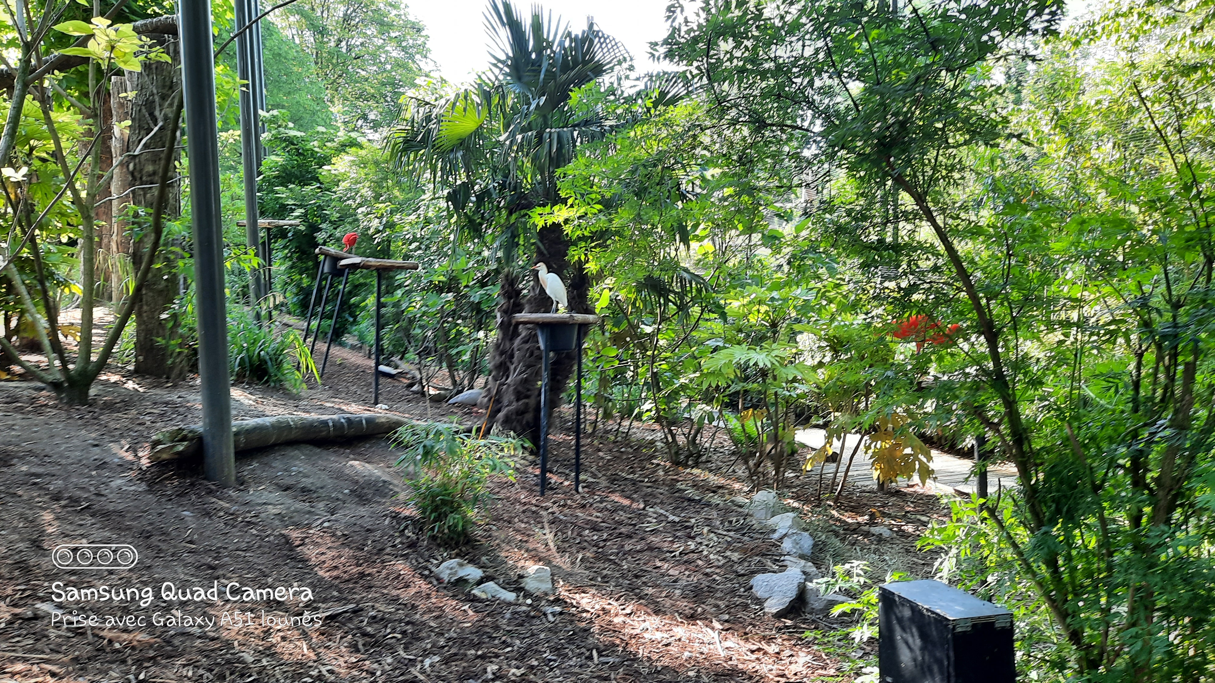 Photo n° 6 de l'avis de Lounes. fait le 02/06/2021 à 21:26