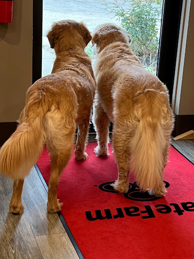 Insurance Agency «Kristy Hayduk - State Farm Insurance Agent», reviews and photos