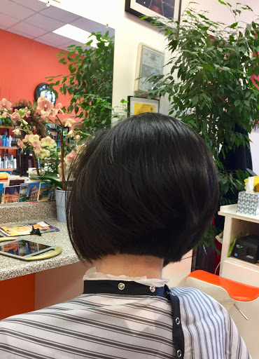 Hair Salon «University Hair Care», reviews and photos, 1444 University Ave, Berkeley, CA 94702, USA