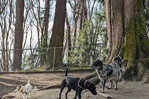 Golden Gardens Off Leash Area image