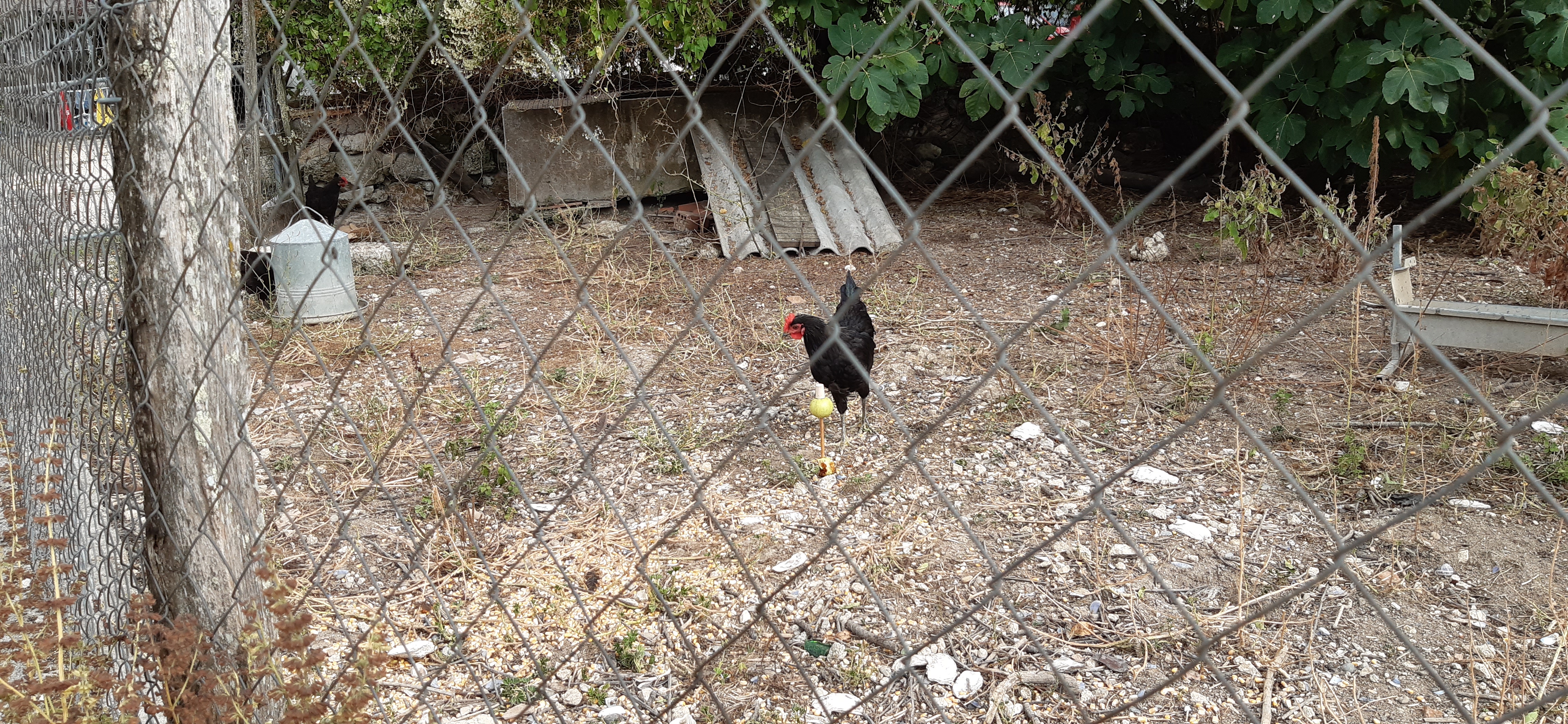 Photo n° 3 de l'avis de Dimitri.u fait le 13/08/2020 à 19:45