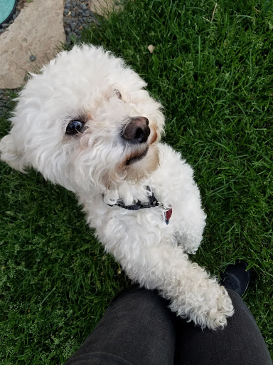 Park «Platt Park Recreation Center», reviews and photos, 1500 S Grant St, Denver, CO 80210, USA