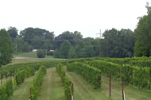 Carolina Heritage Vineyard and Winery image