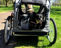 Adventure K-9 LLC - Photo 8 - Car repair in Boise, ID, Meridian