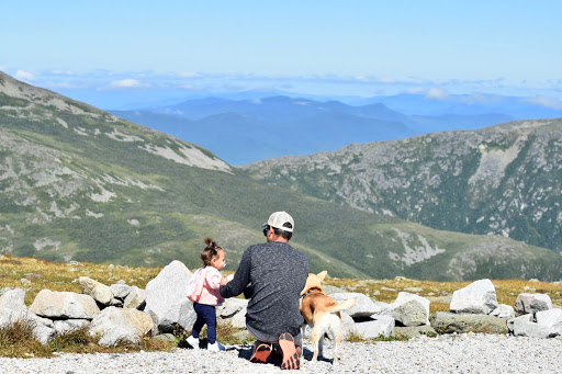 Roofing Contractor «The Aiello Roofing Company», reviews and photos, 5 Bluestone Ln, New Milford, CT 06776, USA