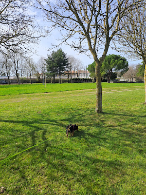Terrain de basket à Aytré