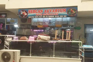 Sercan Akvaryum image