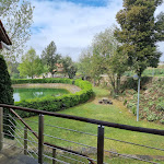 Photo n°2 de l'avis de francisco.a fait le 12/04/2023 à 12:13 sur le  Old Tavern Viseu à Viseu