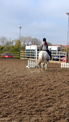 Reviews of Firtree Farm Riding School in Newcastle upon Tyne - School