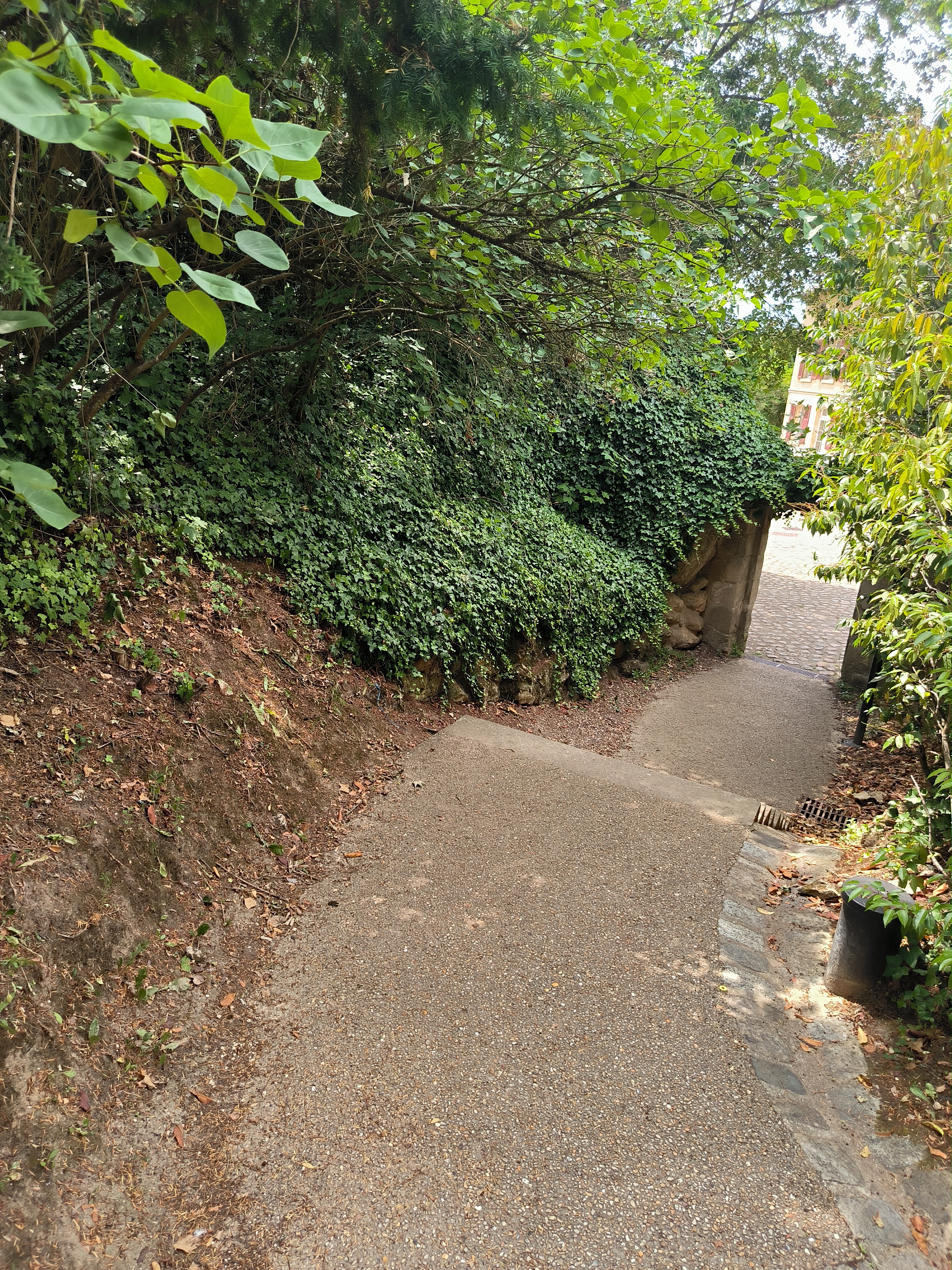 Photo n° 26 de l'avis de Tigrona.a fait le 06/08/2023 à 10:23