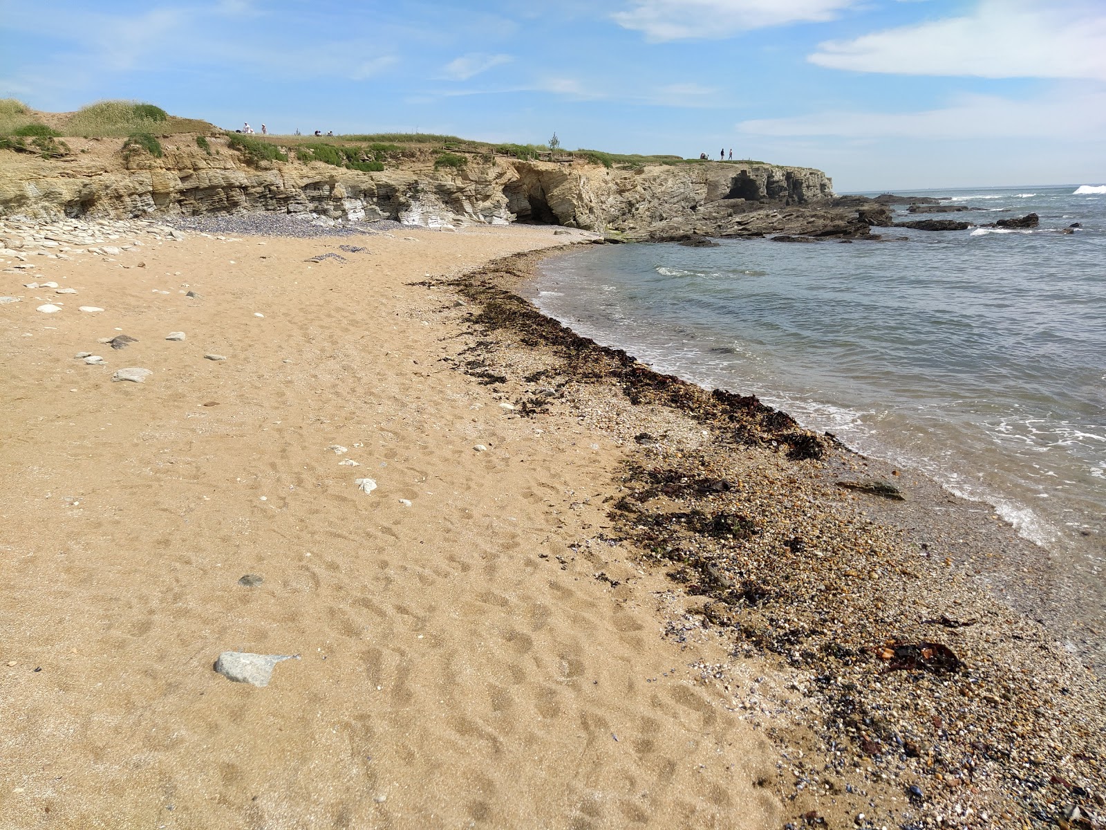 Φωτογραφία του Anse du Sud beach με επίπεδο καθαριότητας πολύ καθαρό