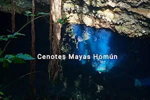 CENOTES DE HOMUN | CENOTES MAYAS HOMUN image