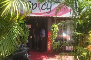 Spicy Family Restaurant & Bar image