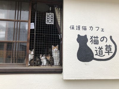 保護猫カフェ猫の道草