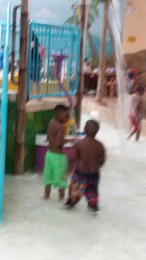 Water Park «Palm Island Indoor Waterpark», reviews and photos, 8250 Park Rd, Batavia, NY 14020, USA