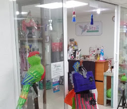 Tienda Tigridia photo