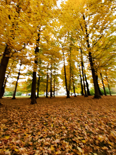 Park «Robsion Park», reviews and photos, Robsion Park Dr, Lyndon, KY 40222, USA