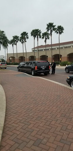 Performing Arts Theater «McAllen Performing Arts Center», reviews and photos, 801 Convention Center boulevard, McAllen, TX 78501, USA