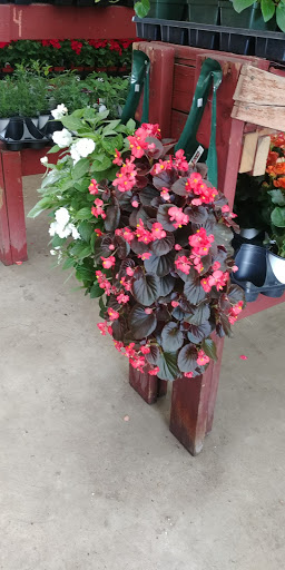 Garden Center «Agway», reviews and photos, 1025 Green St, Greensburg, PA 15601, USA