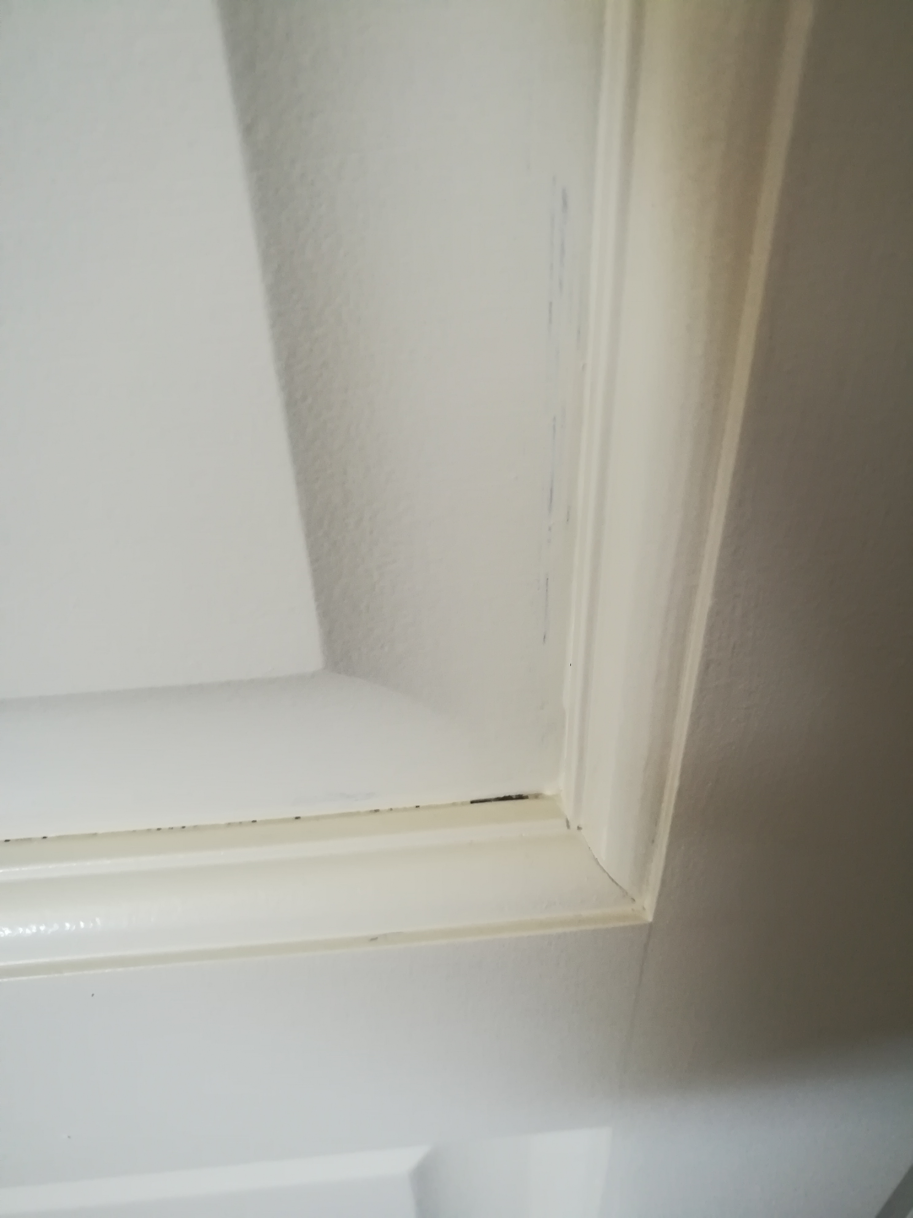 Photo n° 3 de l'avis de Veronique.a fait le 27/10/2021 à 14:59