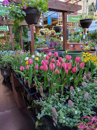 Hardware Store «Orchard Supply Hardware», reviews and photos, 24021 Marguerite Pkwy, Mission Viejo, CA 92692, USA