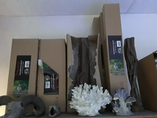 Aquarium Shop «Archer Fish Aquariums», reviews and photos, 514 79th St, Brooklyn, NY 11209, USA