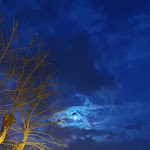 Photo n°11 de l'avis de Pasquale.r fait le 05/05/2021 à 11:43 sur le  Bar Pizzeria Baldaccio a fianco Museo della Battaglia e Di Anghiari à Anghiari