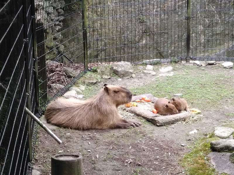 昆虫館