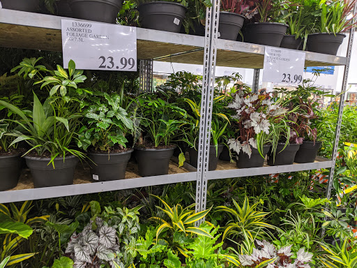 Warehouse store «Costco Wholesale», reviews and photos, 27220 Heather Ridge Rd, Laguna Niguel, CA 92677, USA