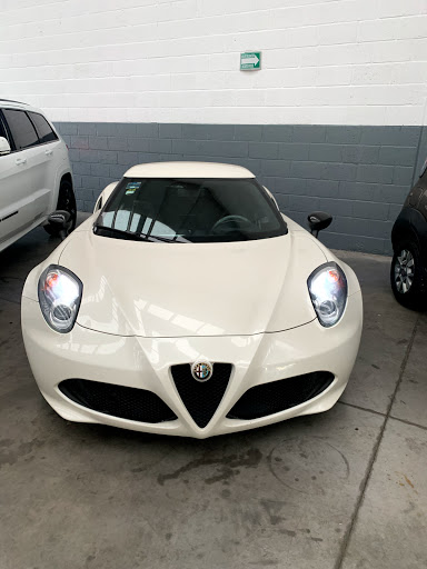 Alfa Romeo Camarena