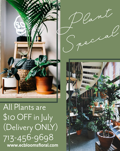 Florist «Greenspoint Florist», reviews and photos, 514 Gulf Bank Rd, Houston, TX 77037, USA