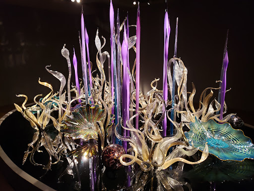 Botanical Garden «Desert Botanical Garden», reviews and photos, 1201 N Galvin Pkwy, Phoenix, AZ 85008, USA