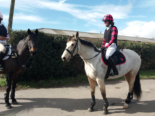 Dressage classes Reading