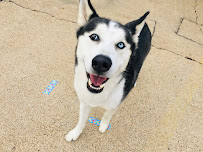 Red Rover - Photo 4 - Car repair in Bossier City, LA, Shreveport