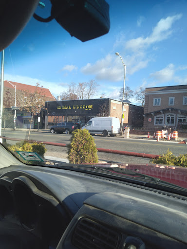 Pet Store «Animal Kingdom», reviews and photos, 436 Main St, East Orange, NJ 07018, USA