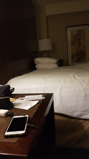 Hotel «DoubleTree by Hilton», reviews and photos, 9599 Skokie Blvd, Skokie, IL 60077, USA