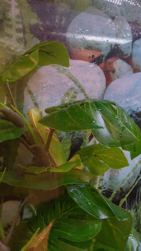 Pet Supply Store «Petco Animal Supplies», reviews and photos, 5975 20th St, Vero Beach, FL 32966, USA