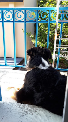 Photos des visiteurs Hébergement d'intérieur A La Joie de Vivre 63150 La Bourboule