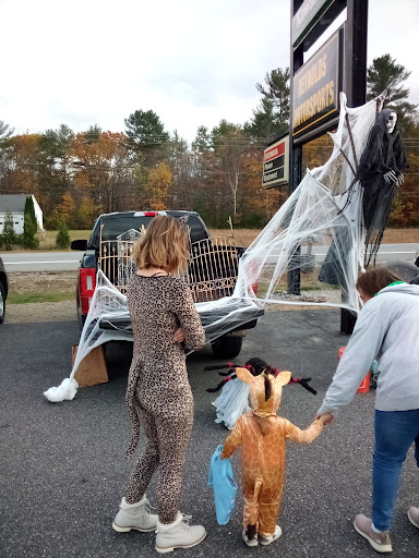 Motorcycle Dealer «Reynolds Motorsports», reviews and photos, 702 Narragansett Trail, Buxton, ME 04093, USA