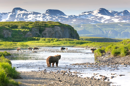 National Park «Katmai National Park and Preserve», reviews and photos