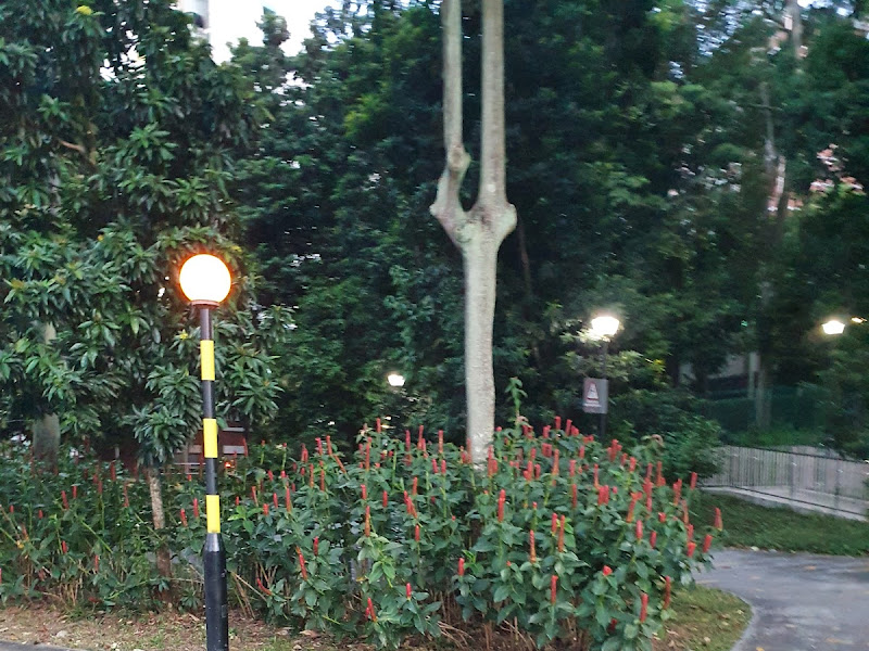 Alexandra Queensway Park Connector