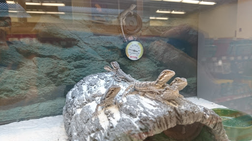 Pet Supply Store «Petco Animal Supplies», reviews and photos, 200 Center Blvd S, Christiana, DE 19702, USA