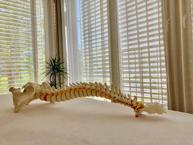 Comentarii opinii despre Physio Hendrix GmbH