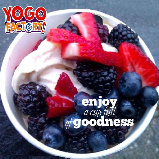Frozen Yogurt Shop «YoGo Factory», reviews and photos, 319 E Jimmie Leeds Rd #804, Galloway, NJ 08205, USA