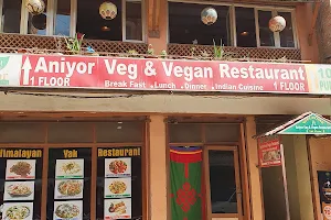 Himalayan Yak Restaurant image